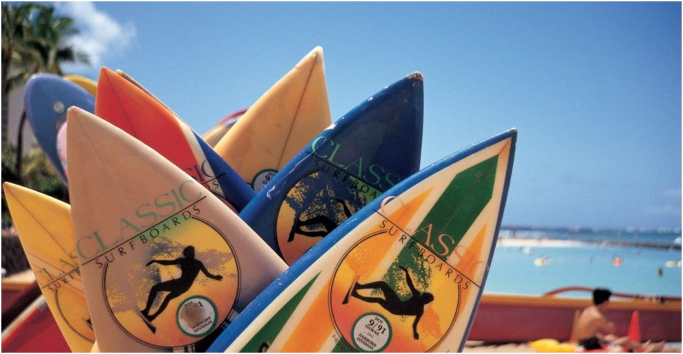 Hasil gambar untuk papan surfing