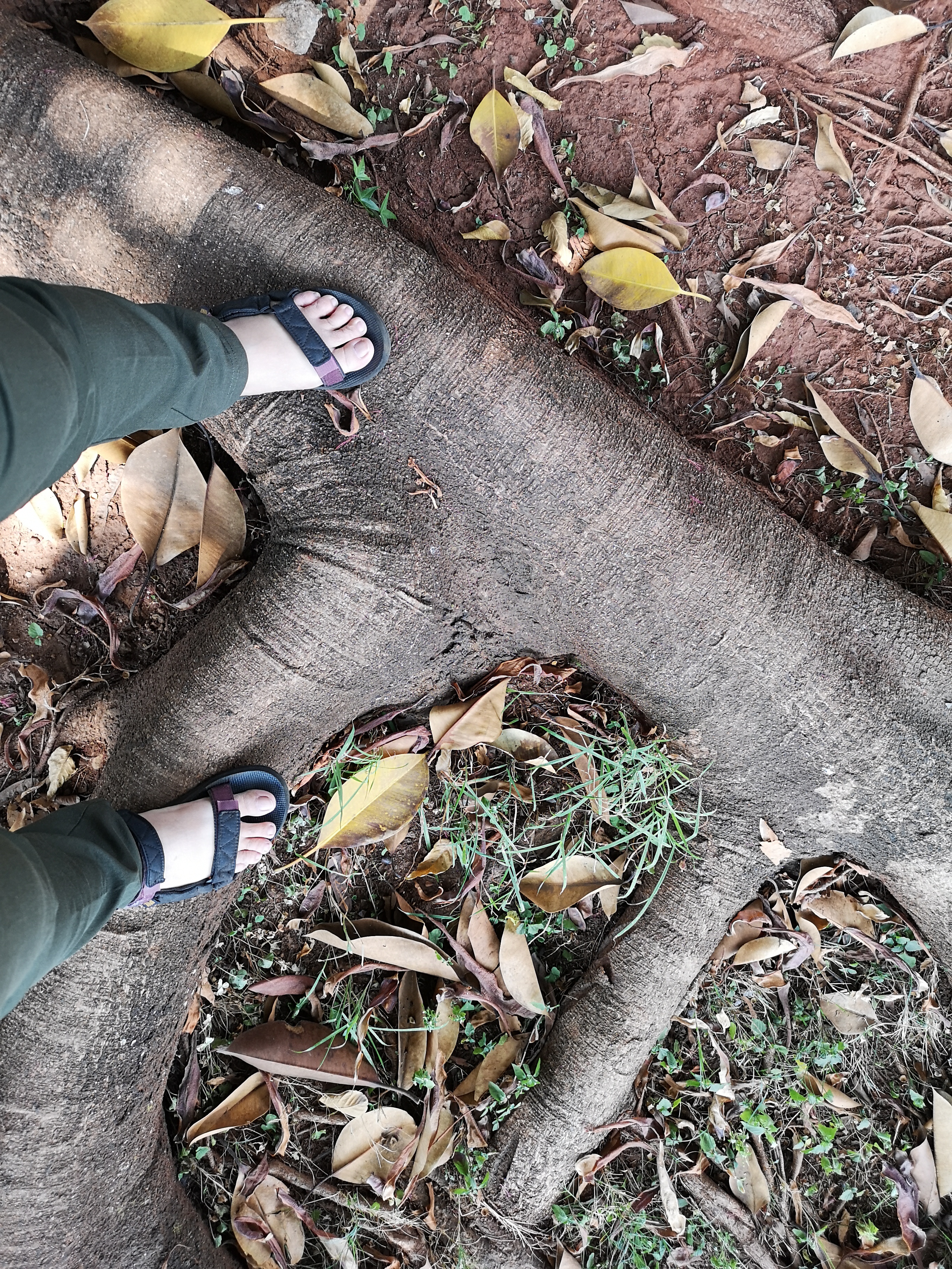 Back to nature Back to nature