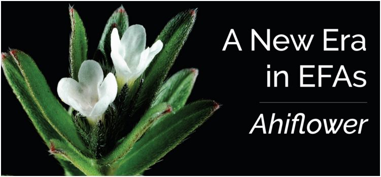 What’s in Phyto EFA? What’s in Phyto EFA?