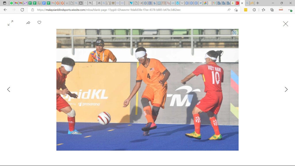 Global virtual hunt raises funds for visually challenged athletes in Malaysia