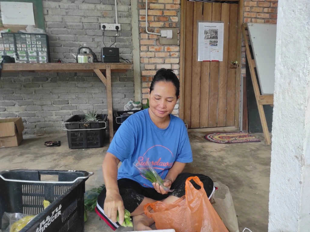 Sustainable farming by the original guardians of the forests