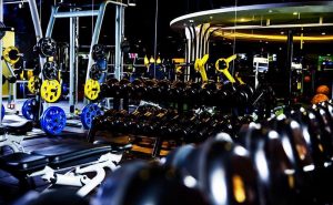 Peak fitness discount